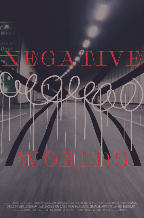 Negative Worlds (2024) poster