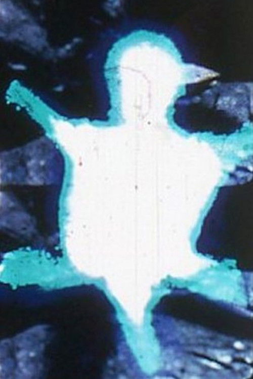 Turtle (1969) poster