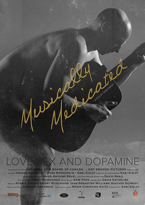 Musically Medicated (2013) poster