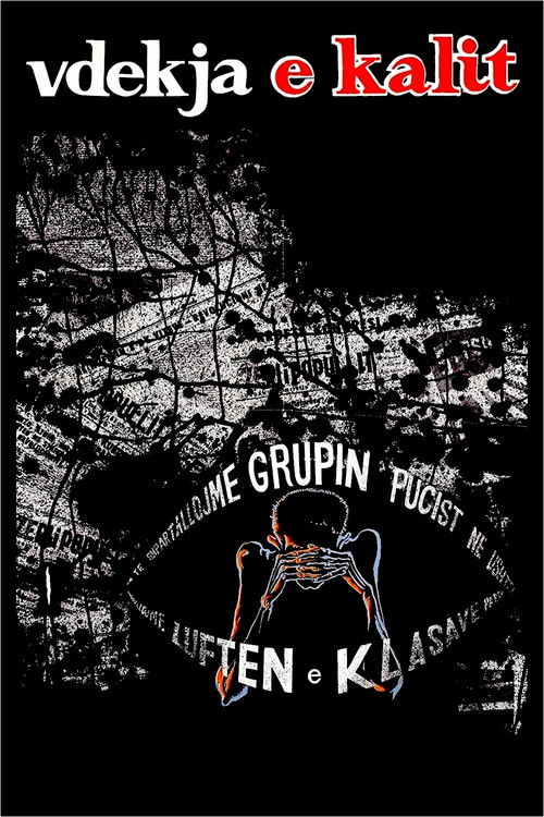 Vdekja e kalit (1992) poster