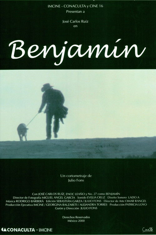 Benjamín (2002) poster