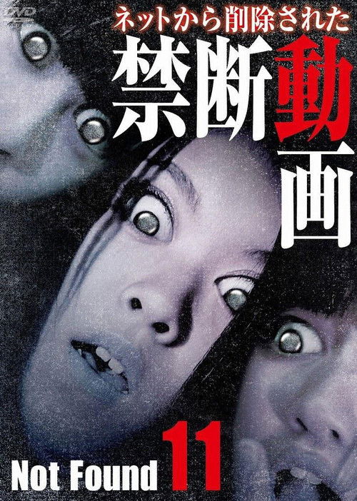 Not Found 11 (2013) poster