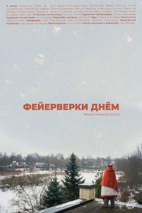 Фейерверки днём (2025) poster