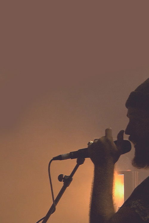 Howling - Sónar Festival (2016) poster