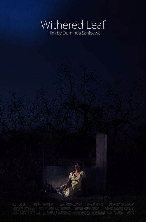 දිසිදි පත් (2016) poster