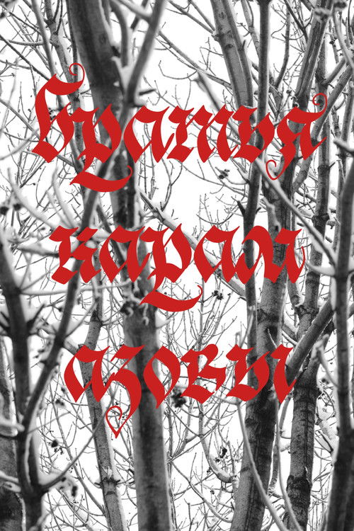 братья карамазовы (2025) poster