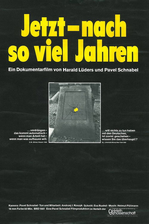 Jetzt, nach so viel’ Jahren (1981) poster