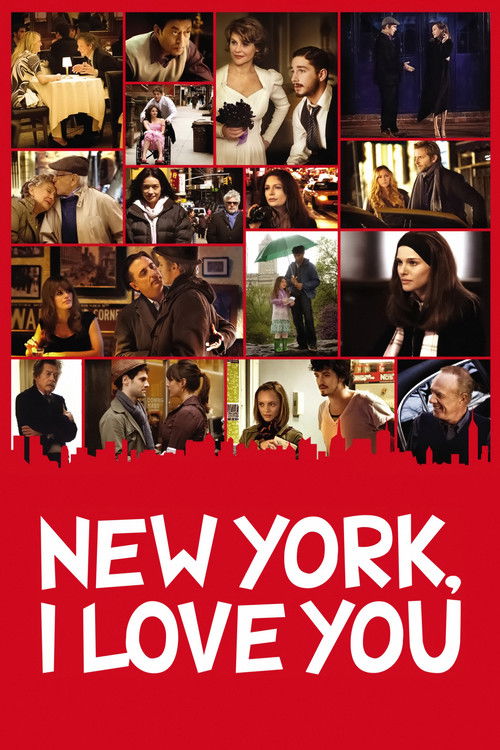 Seni Seviyorum New York (2008) poster