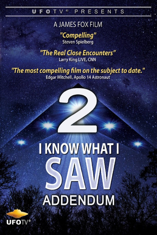 I Know What I Saw Part 2 Addendum (2017) poster