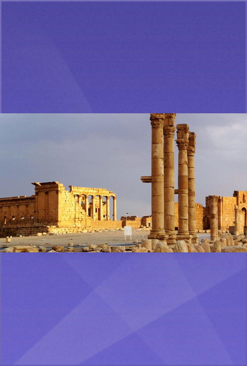 Die Rettung Palmyras (2017) poster