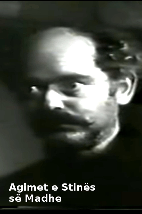 Agimet e stinës së madhe (1981) poster