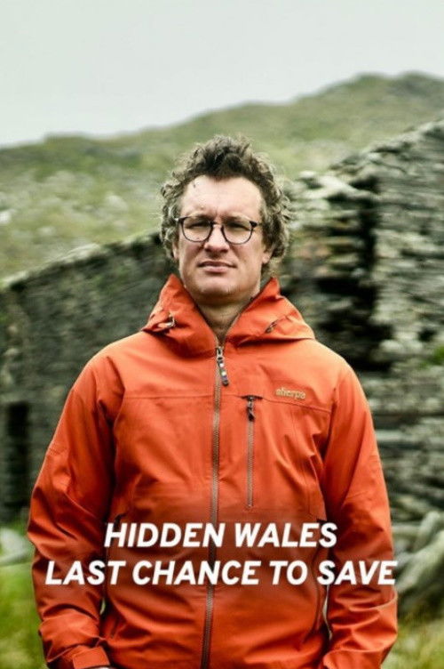 Hidden Wales: Last Chance to Save (2022) poster