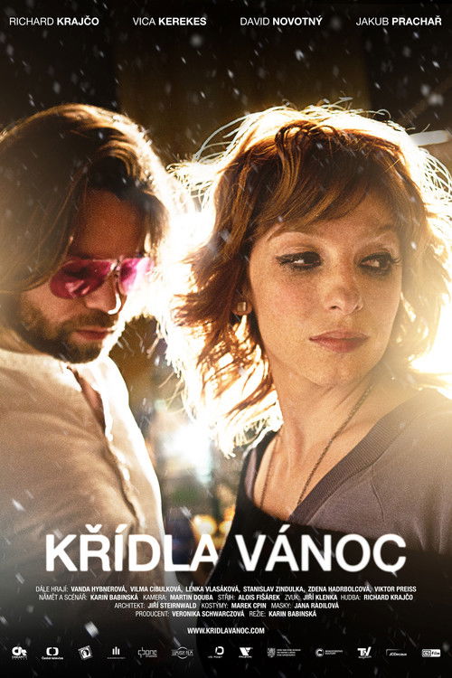 Křídla Vánoc (2013) poster