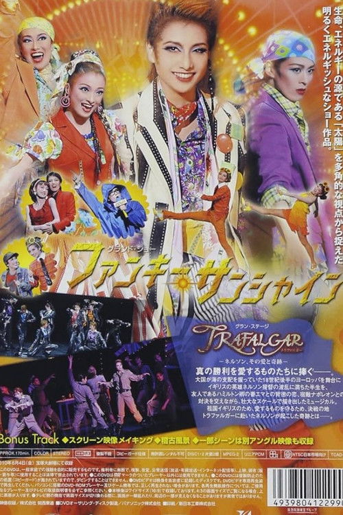 Funky Sunshine (2010) poster