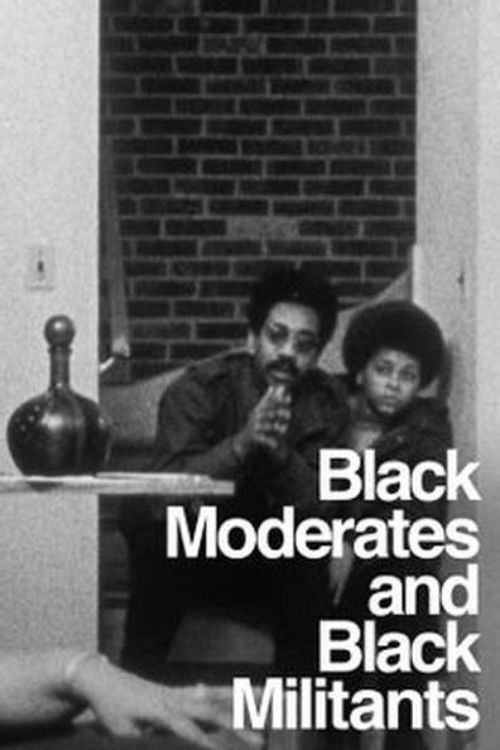 The Urban Crisis and the New Militants: Module 6 - Black Moderates and Black Militants (1969) poster