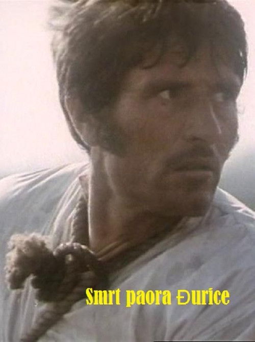 The Death of Djurica the Peasant (1971) poster