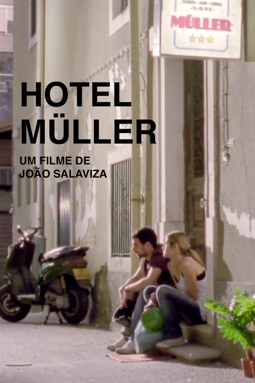 Hotel Müller (2010) poster