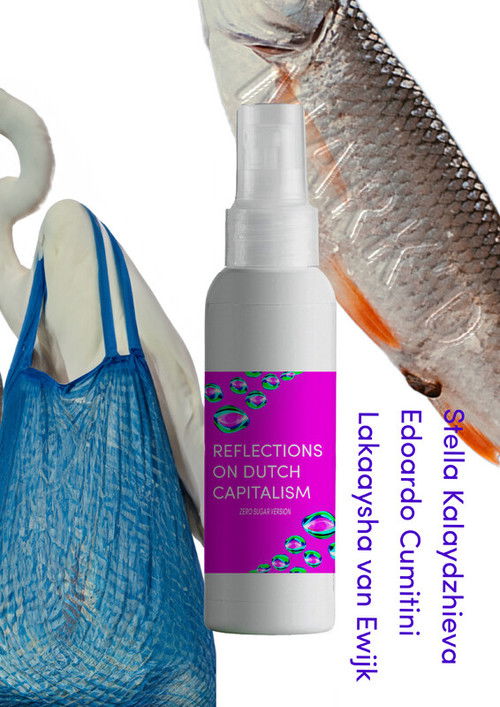 Reflections on Dutch Capitalism; Zero Sugar version (2021) poster
