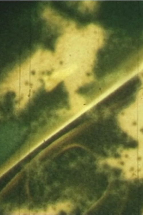 verde vermelhar (2018) poster