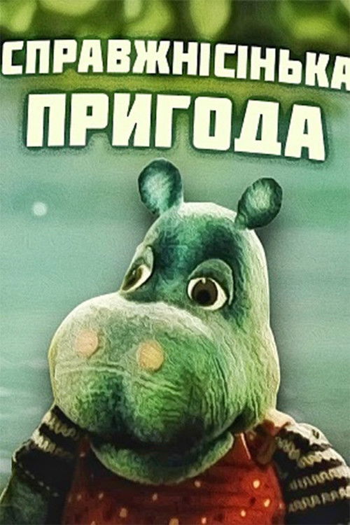 The Real Adventure (1990) poster