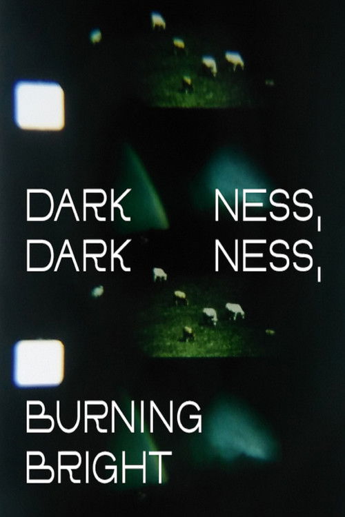 Darkness, Darkness, Burning Bright (2022) poster