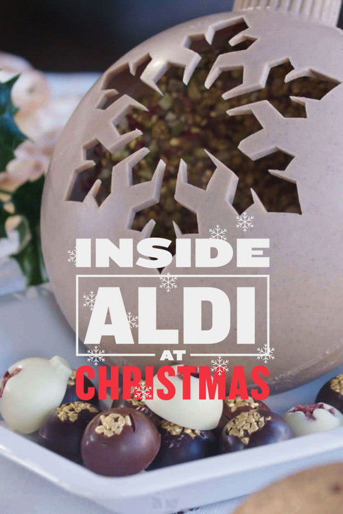Inside Aldi at Christmas (2019) poster