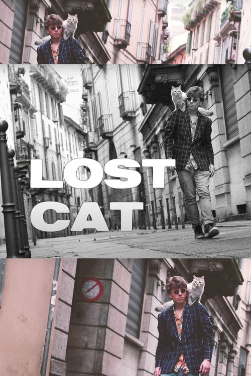 Lost Cat (2019) poster