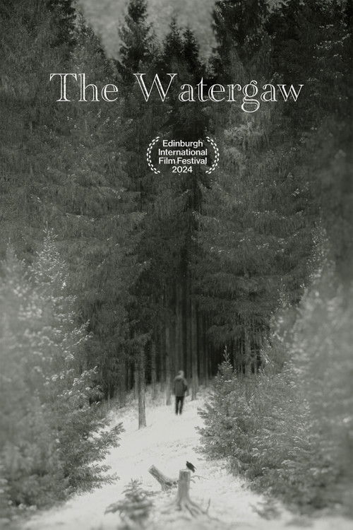 The Watergaw (2024) poster