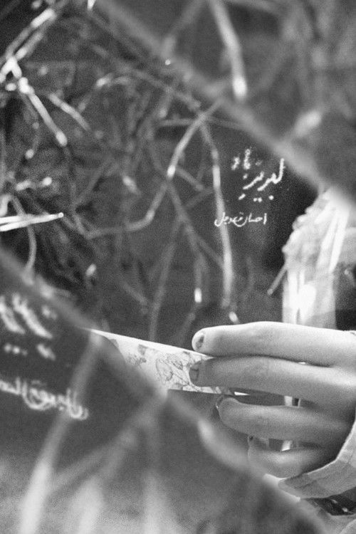 Awash of Wind (2023) poster