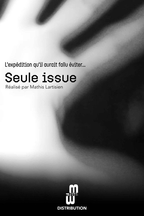 One way out (2024) poster