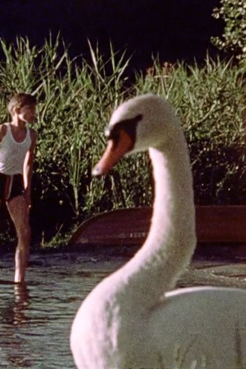 Down Wind (1973) poster