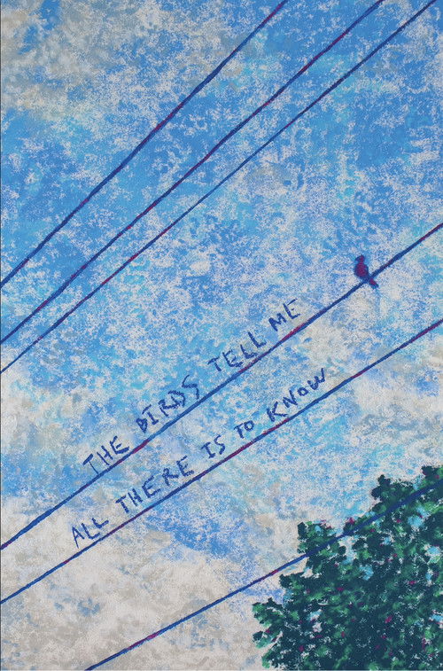 The Birds Tell Me All There Is To Know (2025) poster