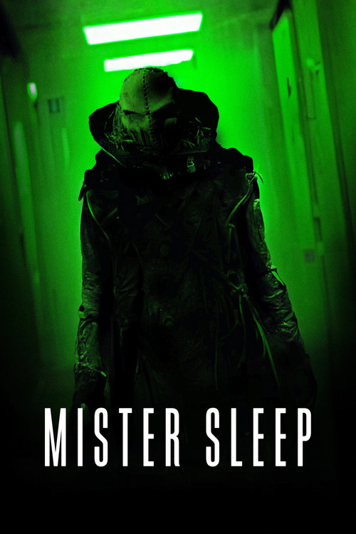 Mister Sleep (2024) poster