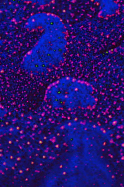 Grauer Sand (2022) poster