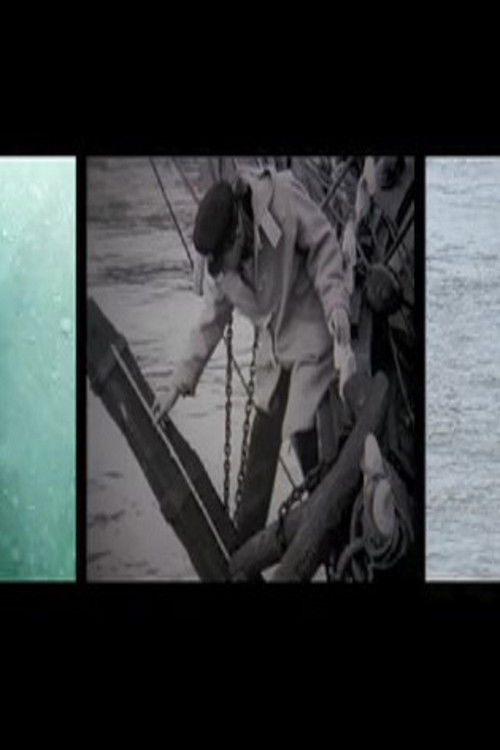 We Account the Whale Immortal (2016) poster