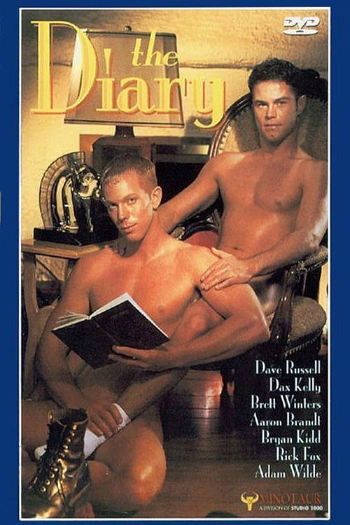 The Diary (1996) poster