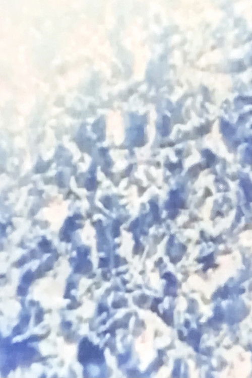 Ecosystem 12 ~ Conjunction (2003) poster