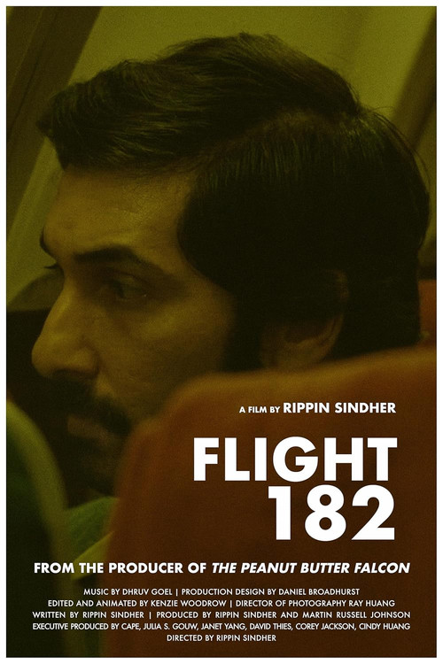 Flight 182 (2025) poster