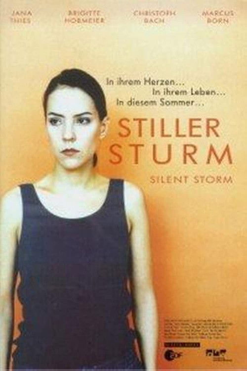 Stiller Sturm (2001) poster