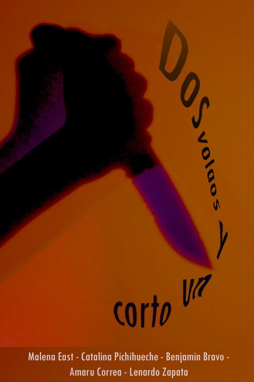 Dos volaos y un corto (2026) poster
