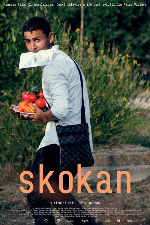 Skokan (2017) poster
