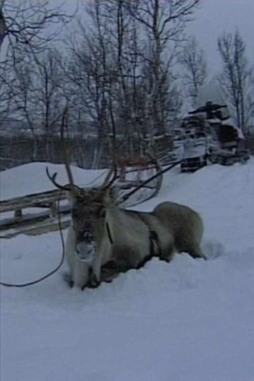 Niestebohcco njuovvan (1997) poster
