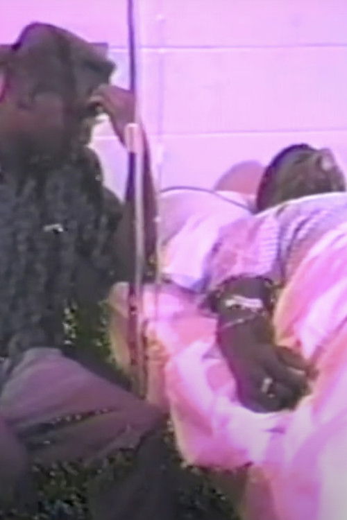 CHS-TV: Not Just Your Life (1992) poster