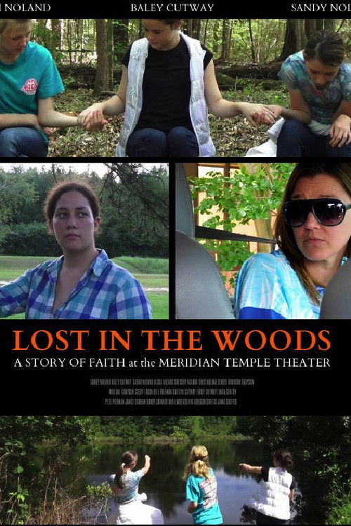 Lost in the Woods (2017) poster