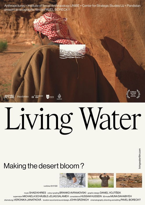 Living Water (2020) poster