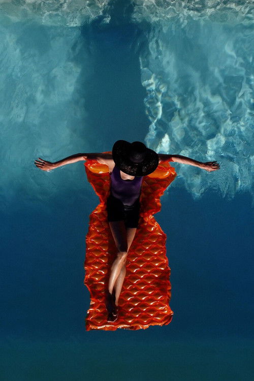 Beauty is Revenge (2024) poster