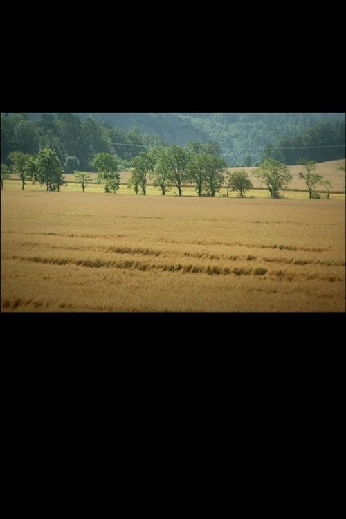 My Bearded Mother (2003) poster