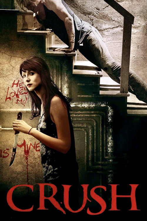 Baskı (2013) poster