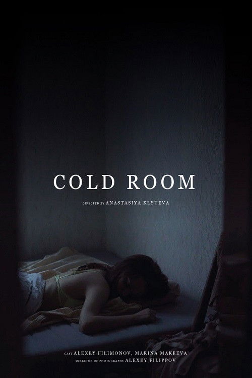 Cold Room (2019) poster