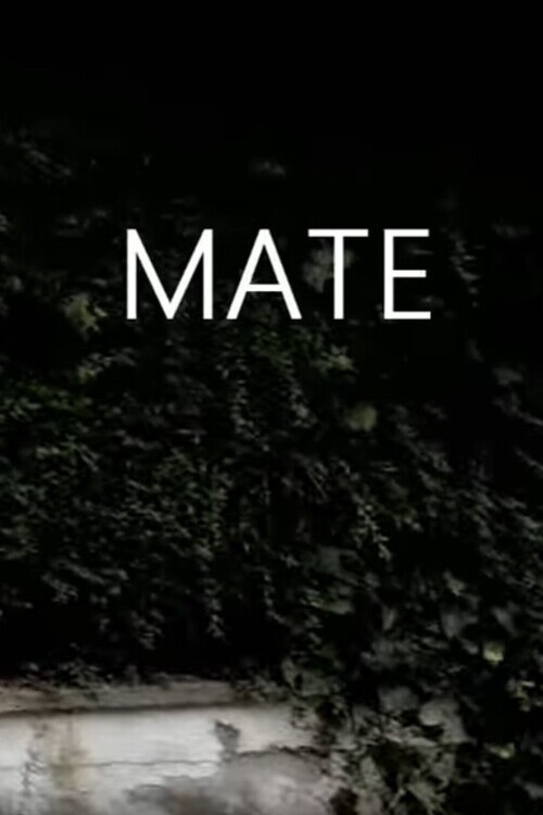 Mate (2012) poster